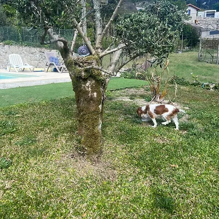 Casa Da Laranjeira By Gerês Casas * Vieira do Minho